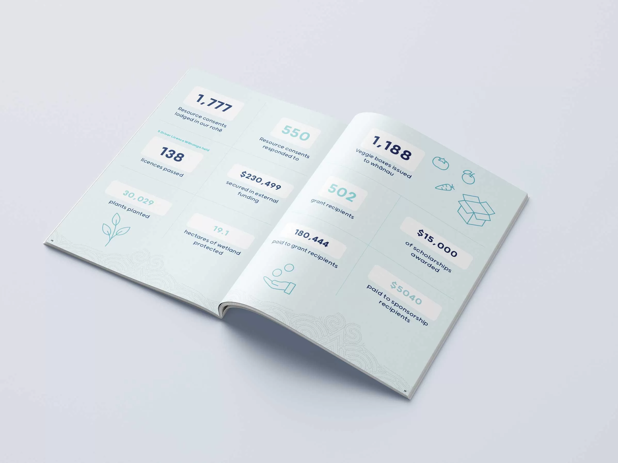 Custom infographics company annual report