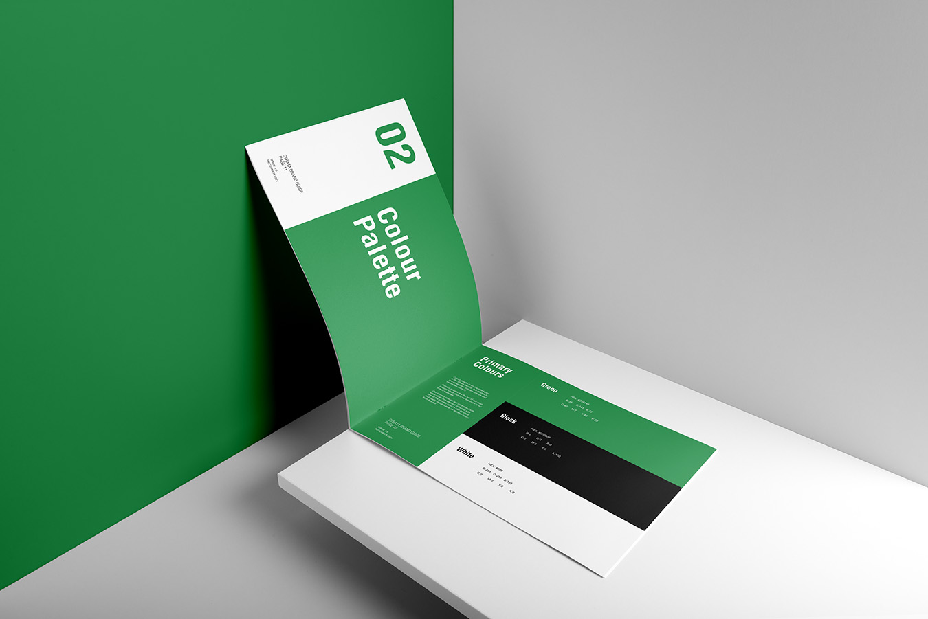 Example of a professional brand style guide