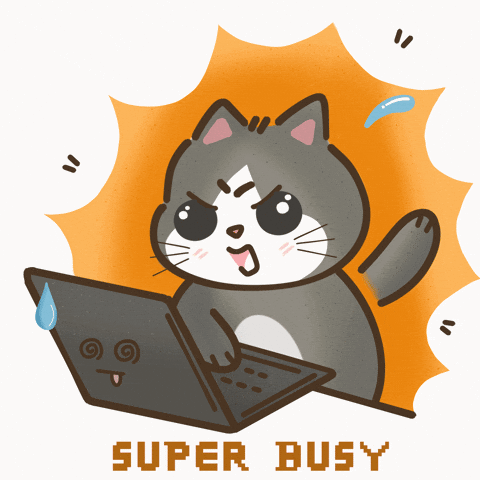 Cat Working on laptop GIF