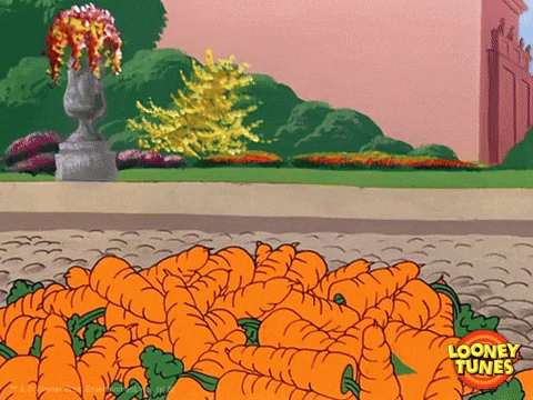 Wake Up Bugs Bunny GIF by Looney Tunes